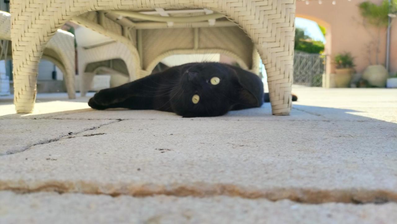 Le Zagare Di Vendicari Villa Lido di Noto Luaran gambar