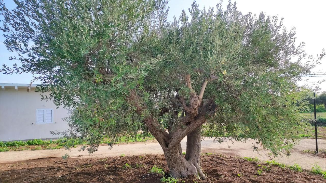 Le Zagare Di Vendicari Villa Lido di Noto Luaran gambar